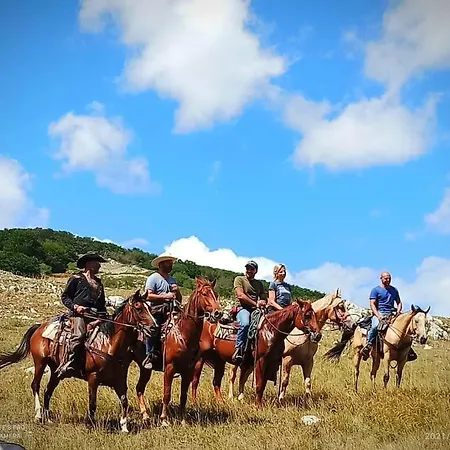 La Casetta - Mon Petit *